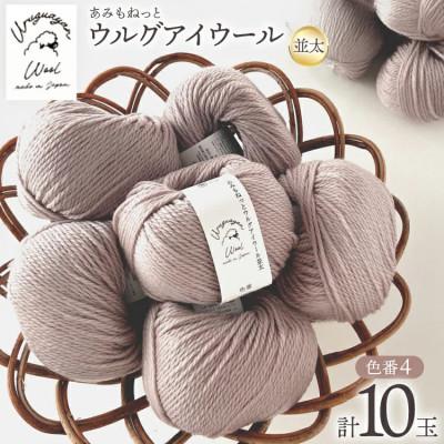 ふるさと納税 江南市 あみもねっと ウルグアイウール並太 4番色 10玉セット
