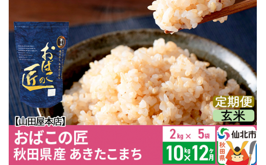 
【玄米】《定期便12ヶ月》令和5年産 仙北市産 おばこの匠 10kg（2kg×5袋）×12回 計120kg 12か月 12ヵ月 12カ月 12ケ月 秋田こまち お米 秋田県産あきたこまち
