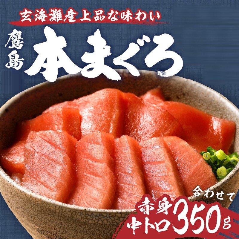 【全3回定期便】鷹島本まぐろ 中トロと赤身合わせて350g( マグロ まぐろ 中トロ 赤身 本まぐろ 手軽 おつまみ 柵 流水解凍 )【E1-003】