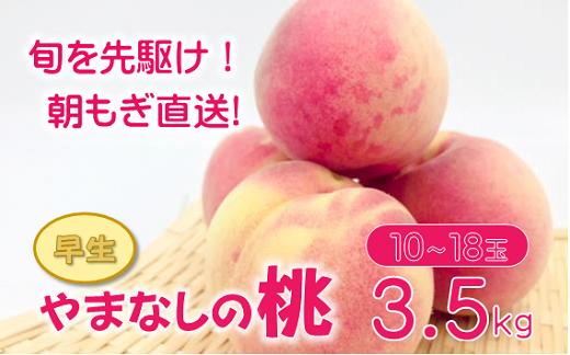 【2025年発送分】もも  約3.5kg （早生） 10～18玉　桃 モモ ピーチ 山梨県産 フルーツ くだもの 果物 産地直送 早生 はなよめ ちよひめ 日川白鳳 夢桃香 先行予約