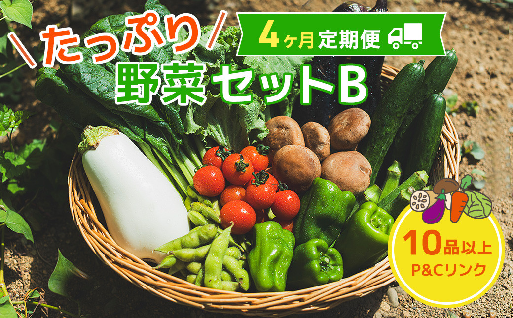 
            【 4ヶ月 定期便 】 野菜セット 10品 季節 旬 野菜 詰め合せ 定期 国産 季節 旬 おまかせ 産地直送 春野菜 夏野菜 秋野菜 きのこ 葉物 果物 果菜 根菜 冷蔵 野菜室 ダイエット 食 栄養食 加工品 カット野菜 岩手県産 北上産 季節限定 山菜 ブロッコリー たまねぎ さつまいも とうもろこし サラダ トマト しいたけ アスパラガス 送料無料 岩手県 北上市 G0215
          