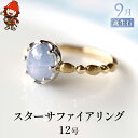 【ふるさと納税】誕生石 9月 スターサファイア 指輪 リング 12号 K18 PT900 プラチナ アクセサリー 婚約指輪 プロポーズ 結婚指輪 誕生日 婚約 結婚 母の日 プレゼント 祝 記念日 女性 贈り物 大分県産 九州産 中津市 国産 送料無料