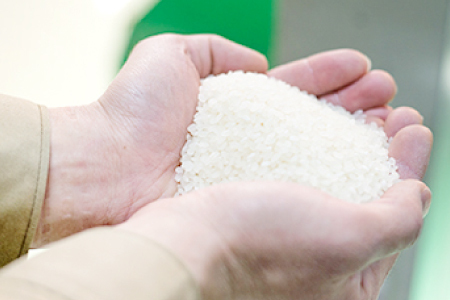 令和7年産 美郷きぬむすめ 10kg（5kg×2袋）【米 お米 精米 白米 ブランド米 きぬむすめ 10kg 5kg×2袋 2025年産】