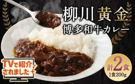 【TVで話題】柳川黄金博多和牛カレー （2箱） カレー レトルト