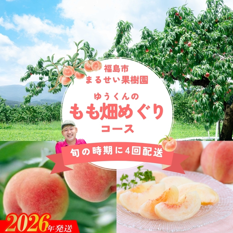 No.2365まるせい果樹園 【定期便4回】ゆうくんのもも畑めぐりコース【2026年発送 先行予約】