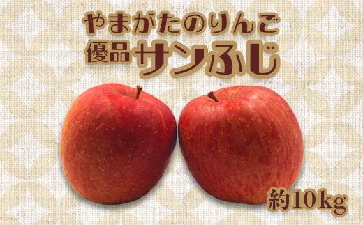 【2025年発送】「優品」山形のりんご（サンふじ）約10kg_H171(R7)