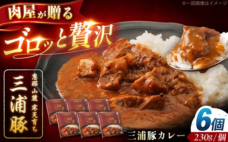 三浦豚カレー 6個セット (230g×6個) / カレー 三浦豚 レトルトカレー セット 恵那市 / 岩島屋 [AUAJ058]