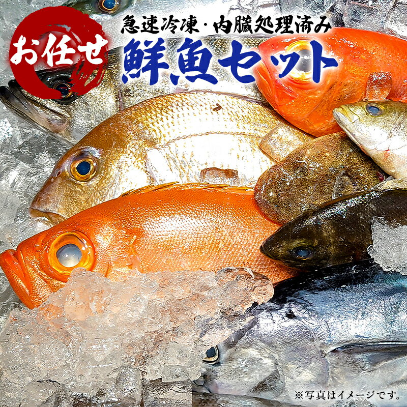 【ふるさと納税】急速冷凍・内臓処理済み お任せ鮮魚セット 千葉県 南房総市 グルメ 絶品 お刺身 新鮮 活きの良さ 旨味 魚介 地魚 煮物 焼き物 揚げ物 お取り寄せ お取り寄せグルメ 送料無料