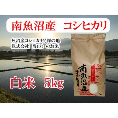 ふるさと納税 南魚沼市 【南魚沼産】コシヒカリ 白米 5kg 香り高く冷めてもおいしい農tistのお米