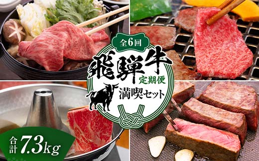 【定期便】飛騨牛 全6回 合計7.3kg 満喫セット ステーキ 焼肉 しゃぶしゃぶ すき焼き 牛肉 黒毛和牛 5等級 肉 牛 ビーフ 食品 岐阜県 坂祝町 さかほぎ F6M-062