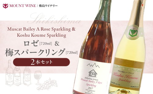 山梨県産ワイン　ロゼ 梅スパークリング 720ml × 2本  F-31