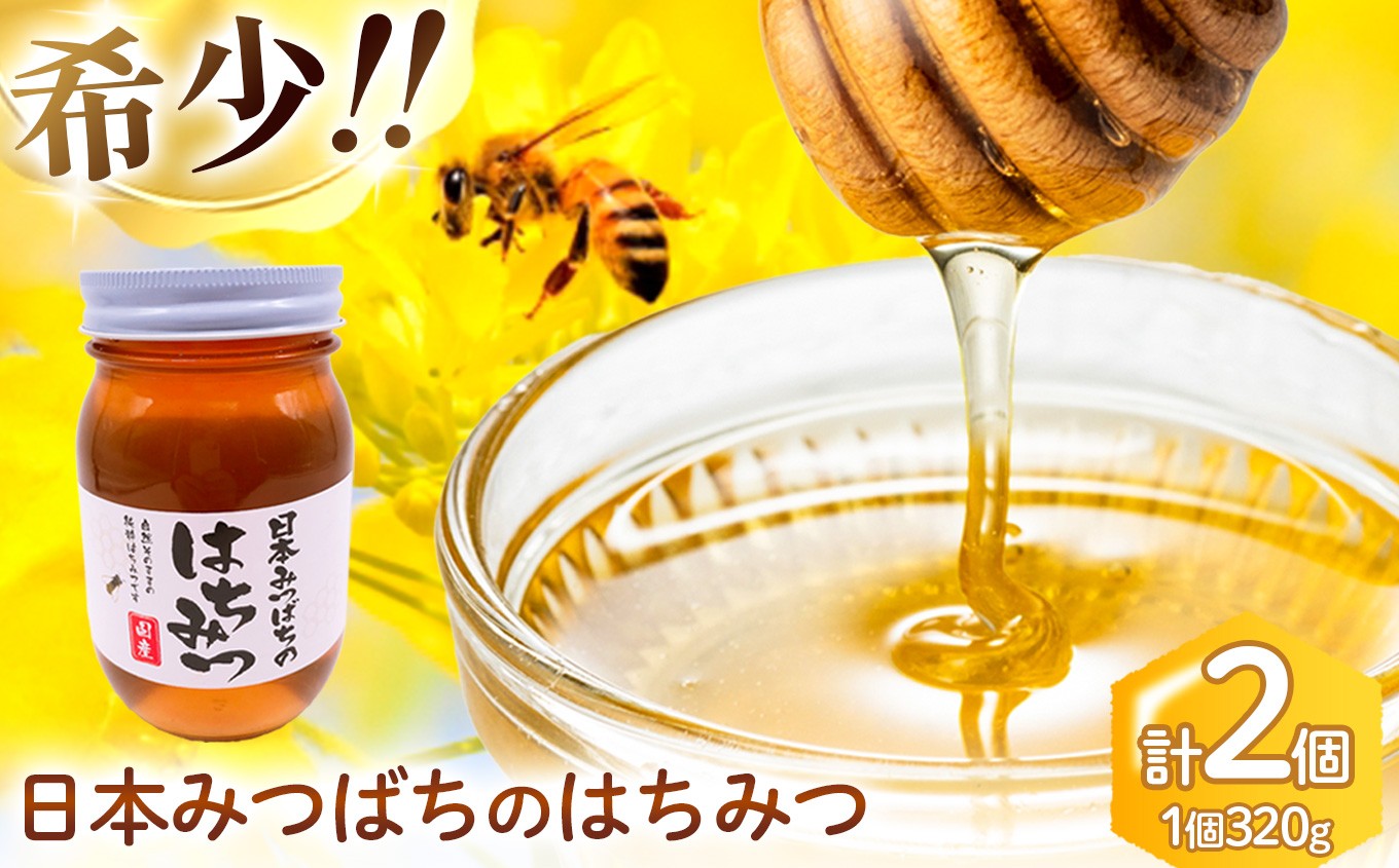 
            和水町産 日本蜜蜂のはちみつ｢希少品｣ 320g×2個 | 熊本県 熊本 くまもと 和水町 なごみまち なごみ ハチミツ ハチミツ 蜂蜜 日本蜜蜂 国産 320g×2個 瓶
          