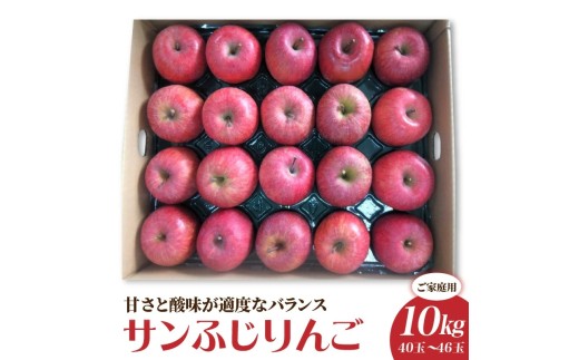 りんご（サンふじ）１０ｋｇ　４０～４６玉　ご家庭用　0056-2624