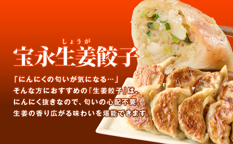 手包み餃子 ぎょうざの宝永 生姜餃子30個セット（宝永餃子15個入×1袋・生姜餃子15個入×1袋）　T004-005-01