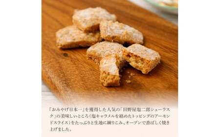 ★田野屋塩二郎完全天日塩★ アーモンドサブレ・ブリック 14個入り×4箱 