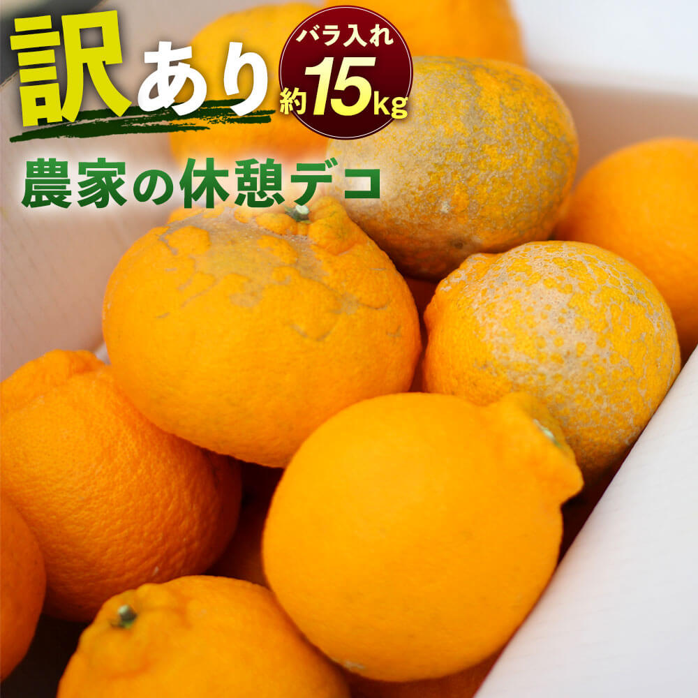 【ふるさと納税】農家の休憩デコ 訳あり C品 約15kg デコポン 不知火 傷あり サイズ混合 段ボール箱 ご家庭用 九州産 熊本県産 果物 みかん 柑橘 送料無料【2026年2月下旬-6月下旬発送】