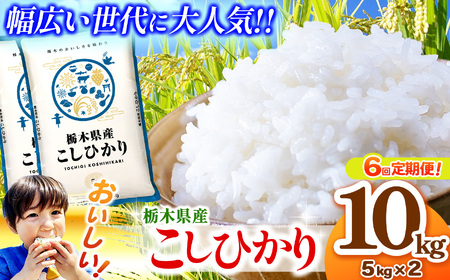 【定期便6回】栃木県産コシヒカリ 5kg×2（10kg）