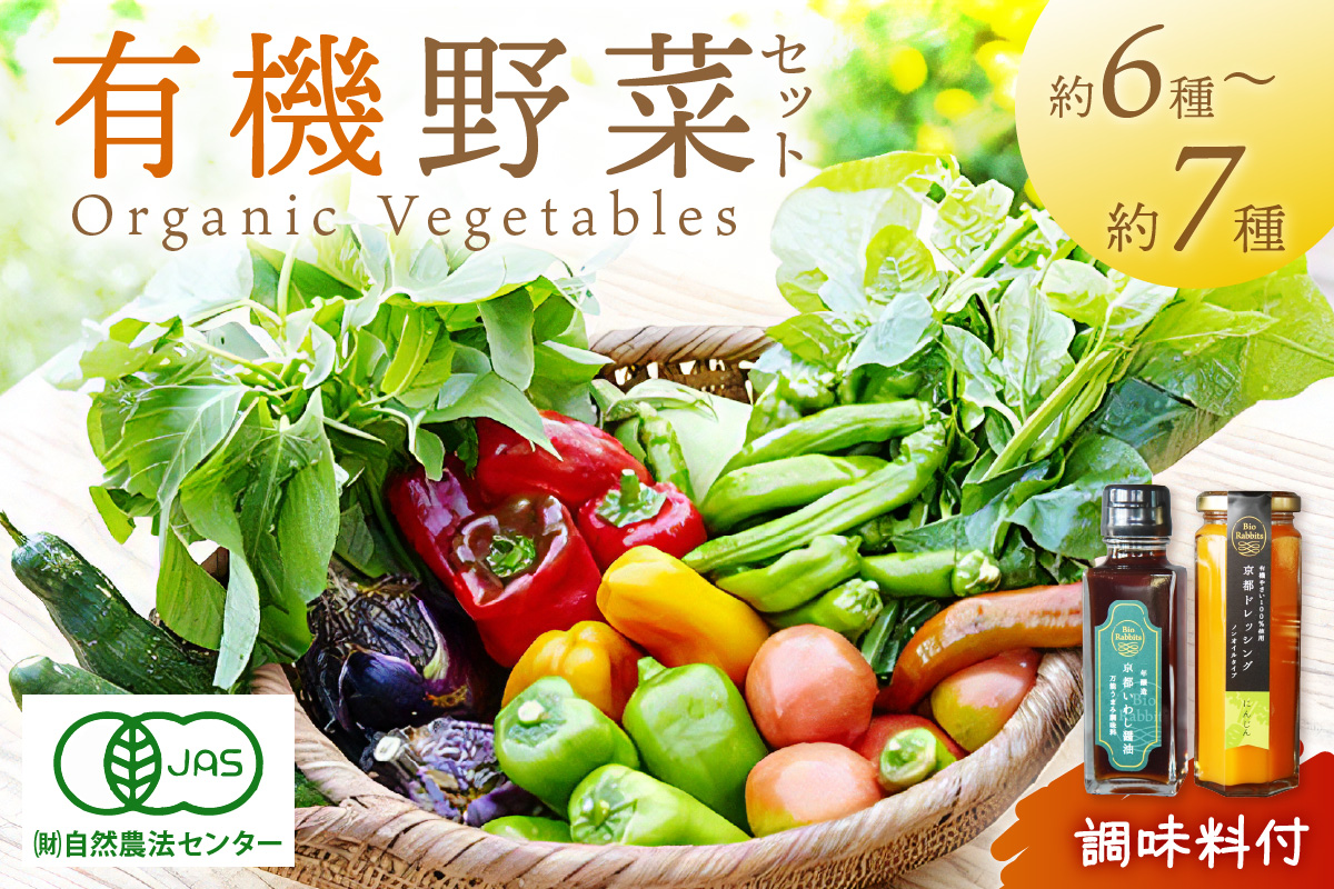 ＜てんとうむしばたけ＞オーガニック野菜&調味料セット　有機野菜6～7種(2人用)＆調味料2種