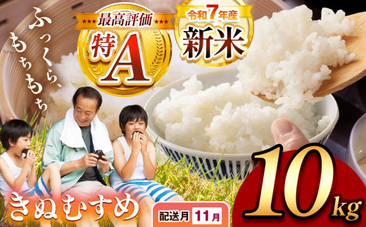 令和7年度産 新米 きぬむすめ 白米 10kg 先行予約 ＜ 2025年11月～より順次発送予定 ＞ ｜ 精米 新米 白米 米 お米 コメ 単一米 きぬむすめ 山口 美祢 秋吉台 10kg