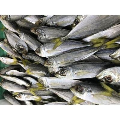 ふるさと納税 熊野市 ひもの詰め合わせ　しあわせセット |  | 02