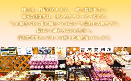 国産　赤卵　60個入｜卵 新鮮 阿久比町