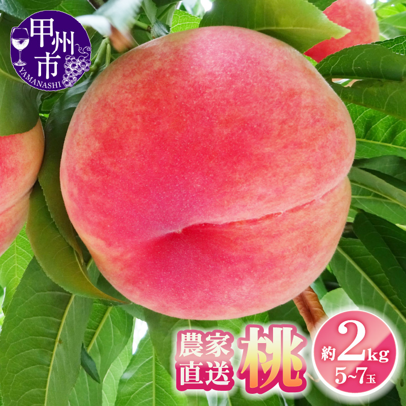 農家直送 桃 約2kg 5～7玉【2025年発送】（YKI）B-990
