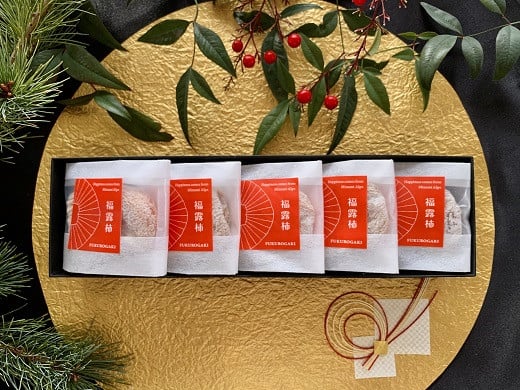 
            南アルプス福露柿　5個入 熟成タイプ（干し柿） ALPCF003
          