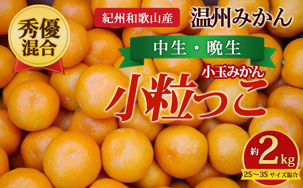 
                  【先行予約】【秀優混合】紀州和歌山産 温州みかん「小粒っこ」約2kg（箱込み）2S～3S サイズ混合 小玉みかん（中生・晩生）
                