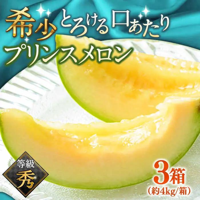 【2027年4月下旬-発送】プリンスメロン 3箱 セット [SCV007] メロン