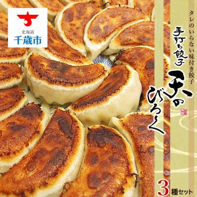 ふるさと納税 千歳市 北海道餃子天のびろく　3種セット(オリジナル・とかちマッシュ・プレミアム)