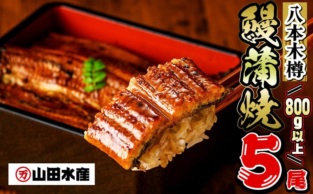 【数量限定】国産 八本木樽鰻の蒲焼(160g以上×5尾) b7-025