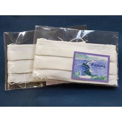 ふるさと納税 与謝野町 ウォッシャブルシルクのマスク(2枚入り)