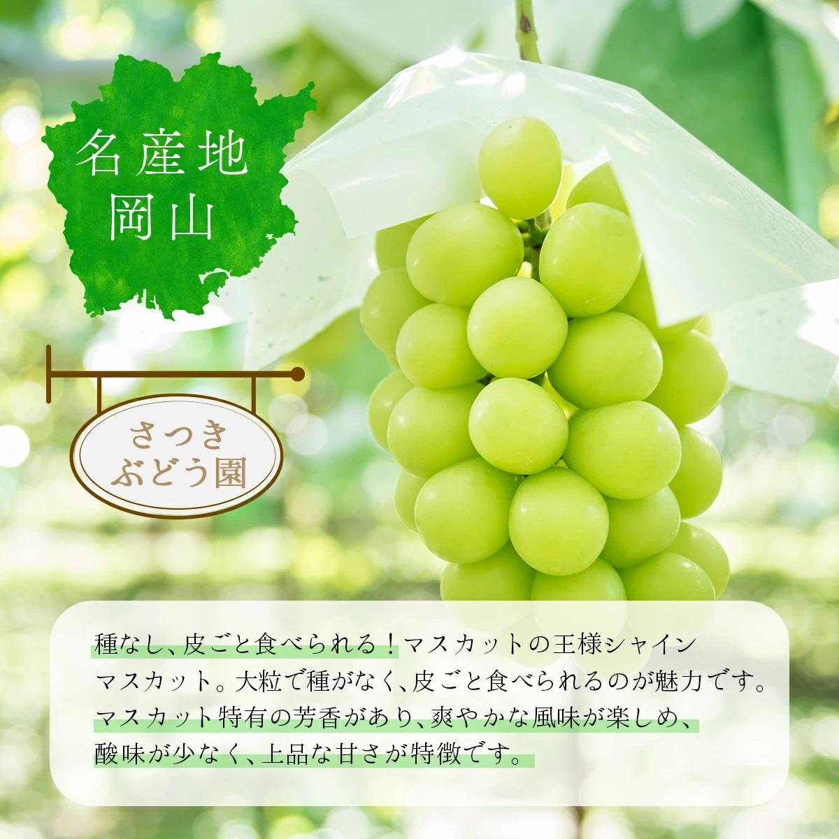 ＜先行予約＞【ギフト】岡山県産 冬のシャインマスカット【2026年12月発送】 2房(1kg以上) [025-a033]