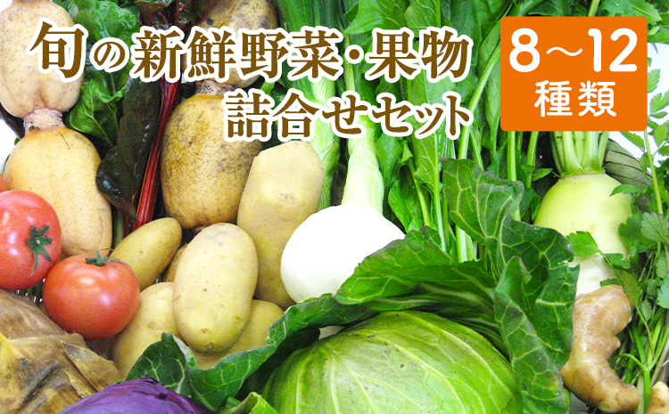 旬の新鮮野菜・果物詰合せセット たっぷり8-12品目 《30日以内に出荷予定(土日祝除く)》熊本県氷川町産 道の駅竜北