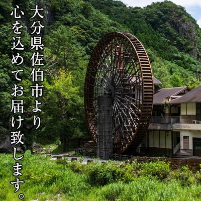 ふるさと納税 佐伯市 因尾茶 ティーバッグ (計66個・22個入×3袋) |  | 03
