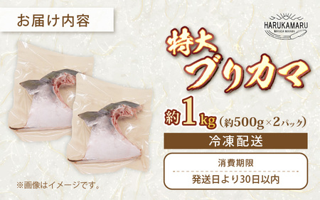 天然 ぶり 特大 ブリカマ (塩焼き用) 約1kg (約500g × 2パック) 美浜町日向産【希少 切身 かま 肉厚 コラーゲン 塩焼き 魚介類 魚貝類 新鮮 冷凍 凍眠】 [m36-a016]