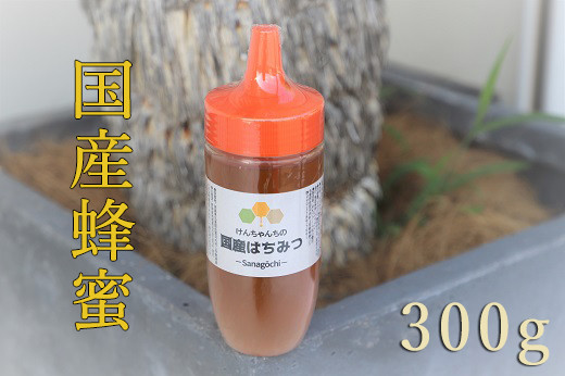 
            けんちゃんちのはちみつ（300g）ボトル《30日以内に出荷予定（土日祝除く）》| ふるさと納税 はちみつ ハチミツ 蜂蜜 国産蜂蜜 天然蜜蜂 徳島県 佐那河内村 送料無料
          