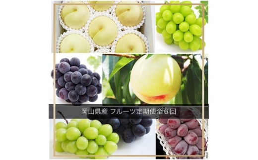 ＜発送月固定定期便＞岡山県産 フルーツ定期便全6回【4084921】