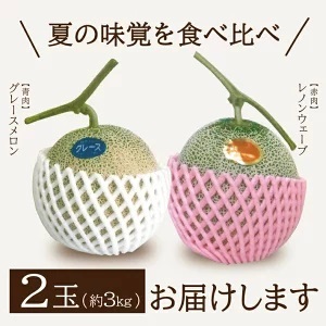 SA2542　庄内メロン　グレース、レノンウェーブ　約3kg　計2玉(青肉・赤肉各1玉)