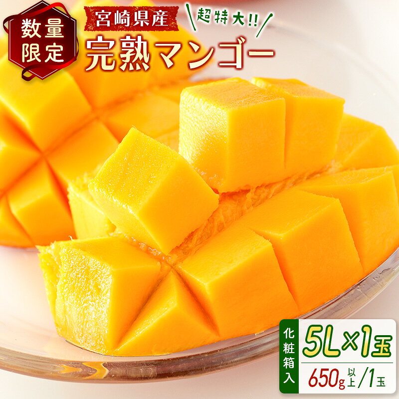 【ふるさと納税】＜数量限定＞宮崎県産 完熟マンゴー5L×1玉（650g以上）※2027年4月下旬配送開始 化粧箱入 フルーツ くだもの
