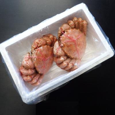 ふるさと納税 根室市 ボイル毛がに900g〜1.1kg×1尾 D-11053 |  | 02