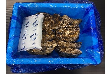 【北海道根室産】貝付き牡蠣80個[2024年4月上旬以降発送] D-54008