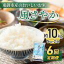 【ふるさと納税】R6年産新米！東御市産のおいしいお米「風さやか」約10キロ【6回定期便】