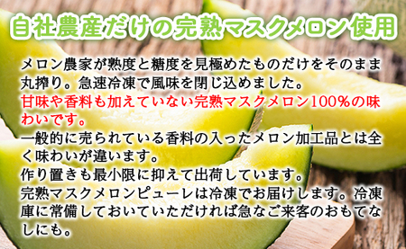 ピューレ メロンピューレ バニラアイスクリーム 5個セット テレビ「めざましどようび キクエがキクヨ！」で紹介 JALファーストクラス機内食に採用 - 果物 くだもの めろん 果汁100% 丸搾り ス
