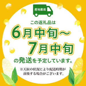 洋菓子素材工房ぴゅあハウス 【品種 スーパーホワイトコーン】白色 とうもろこし 箱込み 約5kg 9本～13本≪6月中旬ごろより順次発送開始≫ キャンプ飯 BBQ 生 野菜 冷蔵発送 送料無料 広島県