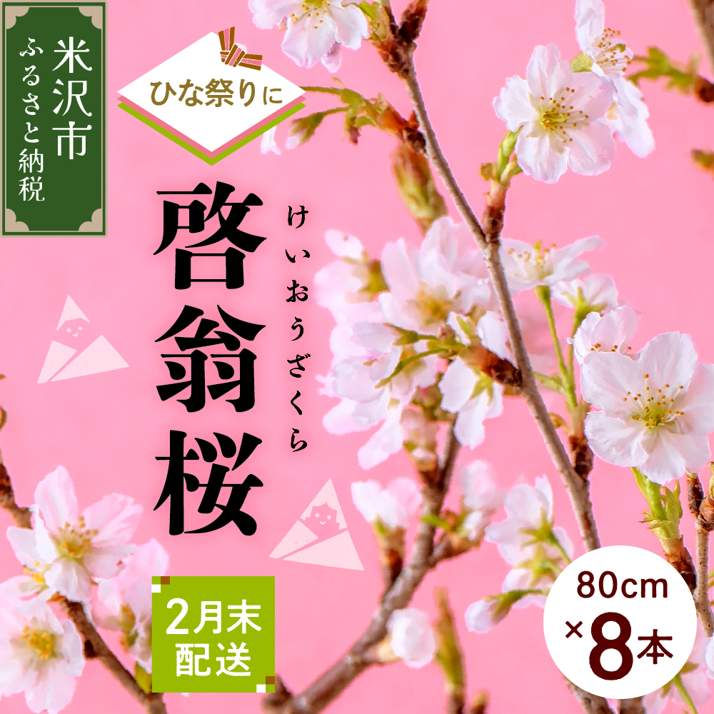 【先行予約】 【ひなまつり用】 啓翁桜 ( けいおうざくら ) 80cm×8本 切り花 2026年2月下旬頃お届け