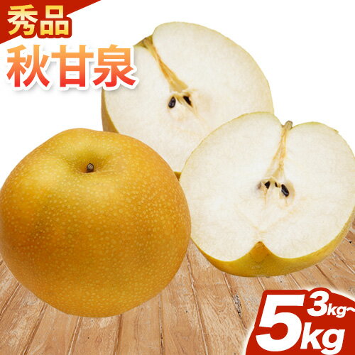 【ふるさと納税】【秀品】秋甘泉 選べる内容量 3kg 5kg さんチョク《9月中旬-9月下旬頃出荷》鳥取県 八頭町 なし ナシ 果物 フルーツ 厳選