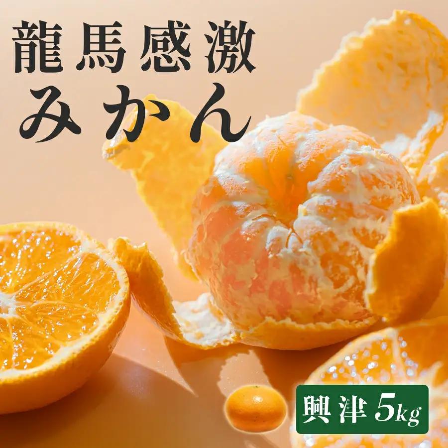 みかん 5kg 龍馬感激みかん 興津 温州みかん 柑橘 フルーツ 果物 産地直送