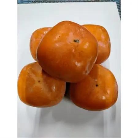 紀の川柿(訳あり品)12～15個入り_果物・フルーツ 柿（カキ）  かき_【1393921】