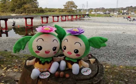 ぬいぐるみ 東松山市キャラクター | ぬいぐるみ